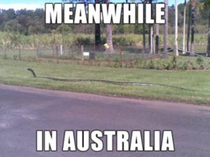 meanwhile_in_australia_640_22