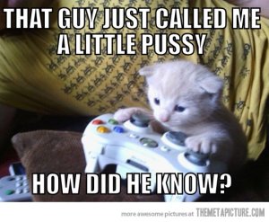 funny-kitten-playing-video-games-xbox