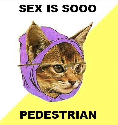 hipstercatsex