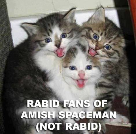 rabidfancats