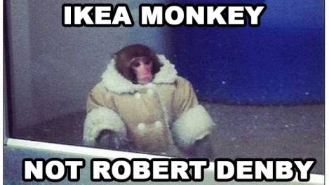 ideamonkey