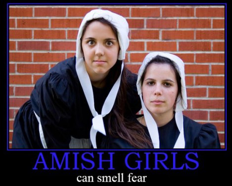 amish-girls-demotivational-poster-1222291871