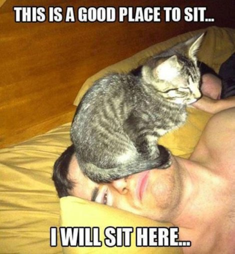 MyFunlink_Picdump_278_47