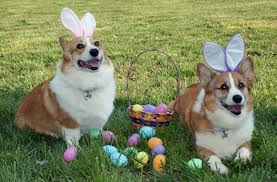 easter9798798u