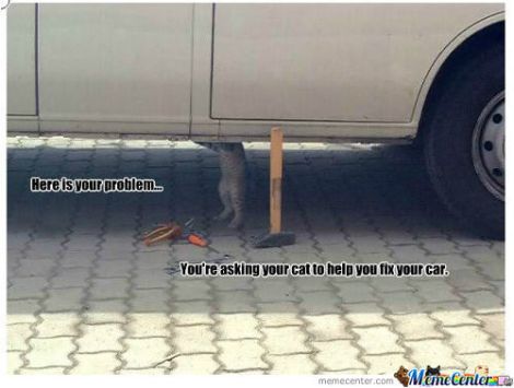 rmx-cat-repair_c_466907