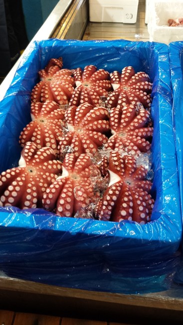 Octopi at Tsukiji Fish Market