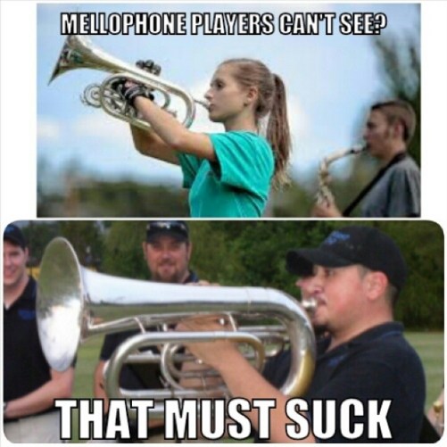 10514031_395704027237546_494939377_n